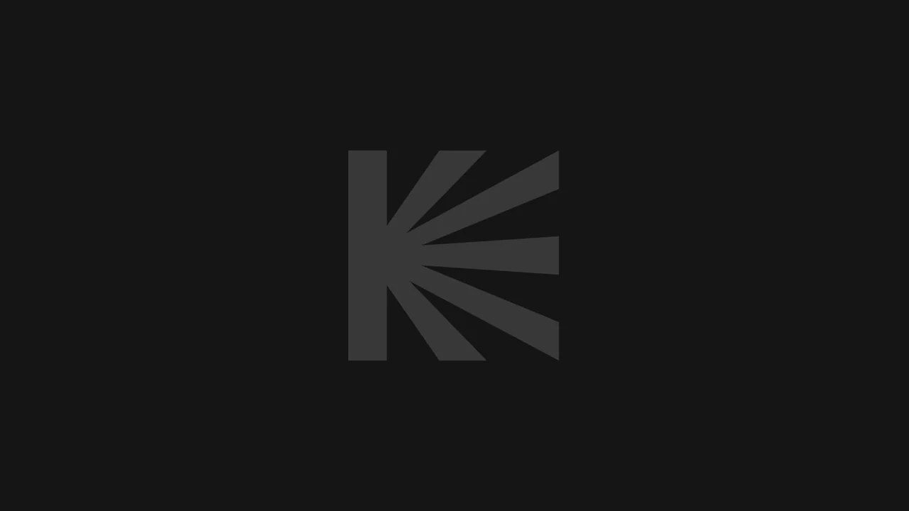 Фильм Соблазн (2001)