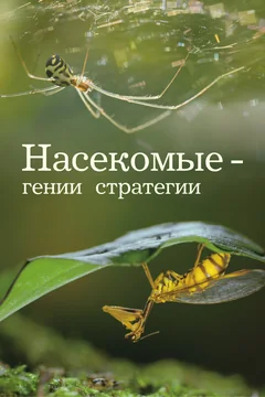 Сериал Насекомые — гении стратегии 1 сезон (1-2 серия)